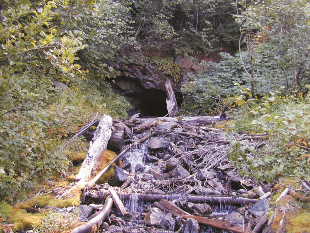 Boundary Red Mountain Mine - Photo 6